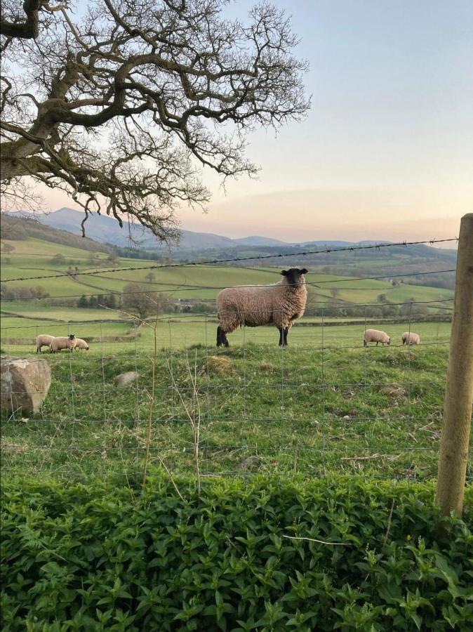 Cosy Arts & Crafts Cottage With Stunning Views Brecon Eksteriør bilde